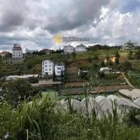 7TY9 CÓ NGAY ĐẤT BIỆT LẬP 257M2 ĐƯỜNG Ô TÔ ĐƯỜNG NGUYỄN HỮU CẢNH ĐÀ LẠT