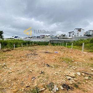 Bán đất KQH Nguyễn Hữu Cầu, Đà Lạt 325m2 full thổ cư giá chỉ 24,5tr/m2