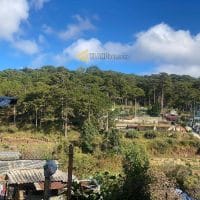 Chính chủ gửi bán đất khu quy hoạch An Sơn, Đà Lạt view rừng thông 100m2 giá 6ty6