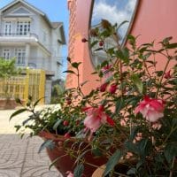 ✨🏡✨ Bán Villa Hẻm ô tô lớn đường Nam Hồ, Phường 11, Đà Lạt