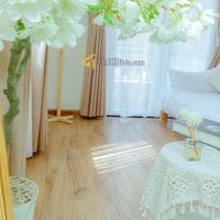 Villa nằm giữa rừng thông trung tâm đậm chất Đà Lạt tại Nguyễn Khuyến P5 giá chỉ 16.5 tỷ