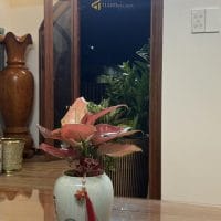 ✨🏡✨ Bán Villa Mặt tiền đường Nguyễn Thượng Hiền, Phường 5, Đà Lạt