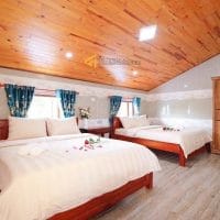 ✨🏡✨ Bán Homestay Hẻm ô tô lớn đường Triệu Việt Vương, Phường 3, Đà Lạt