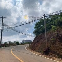 557M2 ĐẤT MẶT TIỀN ĐƯỜNG NHỰA FULL THỔ  VIEW THÔNG GẦN VILLA NGHỆ SĨ TRƯỜNG GIANG ĐƯỜNG MĂNG LINE PHƯỜNG 7 ĐÀ LẠT