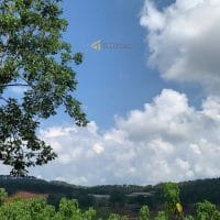 557M2 ĐẤT MẶT TIỀN ĐƯỜNG NHỰA FULL THỔ  VIEW THÔNG GẦN VILLA NGHỆ SĨ TRƯỜNG GIANG ĐƯỜNG MĂNG LINE PHƯỜNG 7 ĐÀ LẠT