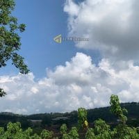 557M2 ĐẤT MẶT TIỀN ĐƯỜNG NHỰA FULL THỔ  VIEW THÔNG GẦN VILLA NGHỆ SĨ TRƯỜNG GIANG ĐƯỜNG MĂNG LINE PHƯỜNG 7 ĐÀ LẠT