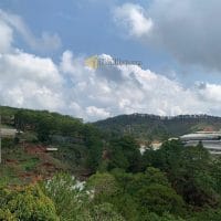ĐẤT RỘNG SẴN NHÀ THÔ VIEW THÔNG GẦN VILLA NGHỆ SĨ TRƯỜNG GIANG ĐƯỜNG MĂNG LIN PHƯỜNG 7 ĐÀ LẠT
