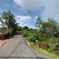 ĐẤT RỘNG SẴN NHÀ THÔ VIEW THÔNG GẦN VILLA NGHỆ SĨ TRƯỜNG GIANG ĐƯỜNG MĂNG LIN PHƯỜNG 7 ĐÀ LẠT