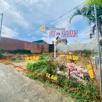250M2 CÓ NGAY ĐẤT Ô TÔ BẰNG ĐƯỜNG TRẦN ĐẠI NGHĨA PHƯỜNG 8 ĐÀ LẠT