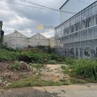 250M2 CÓ NGAY ĐẤT Ô TÔ BẰNG ĐƯỜNG TRẦN ĐẠI NGHĨA PHƯỜNG 8 ĐÀ LẠT