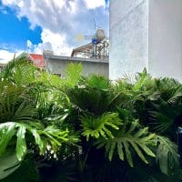 Bán nhà đất Đà Lạt, khu quy hoạch Tô Hiến Thành nhà đẹp mới xây đã hoàn công 14 tỷ