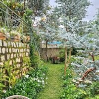 VILLA KIẾN TRÚC PHÁP KHÔNG GIAN XANH 799M2 MẶT TIỀN AN BÌNH HẠ GIÁ
