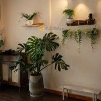 NHÀ ĐẸP ĐƯỜNG Ô TÔ GIÁ TỐT, KIM ĐỒNG, P6, ĐÀ LẠT