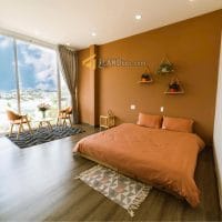 HOMESTAY 7 PHÒNG VIEW ĐẸP – CỔ LOA, P2, ĐÀ LẠT
