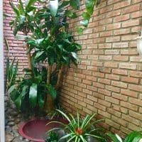 Nhà xịn 4 tầng mặt tiền đường nhựa ở Cổ Loa p2 ĐL CHỈ 7.9 TỶ