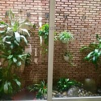 Nhà xịn 4 tầng mặt tiền đường nhựa ở Cổ Loa p2 ĐL CHỈ 7.9 TỶ