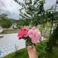 Villa nghỉ dưỡng triệu đô tại vùng đất du lịch Lâm Hà