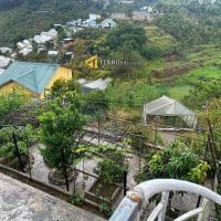 Villa view đồi thông tại Hoàng Hoa Thám Đà Lạt