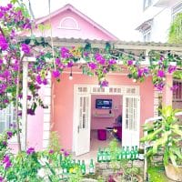 NHÀ CẤP 4 SÂN VƯỜN XINH XẮN TRUNG TÂM P3 – TP ĐÀ LẠT