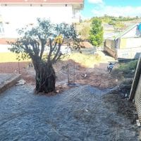 ĐẤT SỔ RIÊNG THỔ CƯ GIÁ TỐT ĐƯỜNG HÙNG VƯƠNG, P9, ĐÀ LẠT