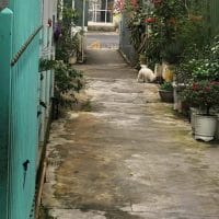 NHÀ ĐẸP SỔ RIÊNG KHU DÂN TRÍ CAO, CÁCH CHỢ ĐÊM CHỈ 1KM – P5, ĐÀ LẠT