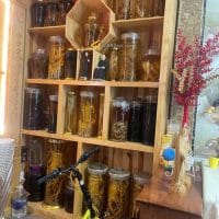 NHÀ ĐẸP, CÓ SÂN VƯỜN, SRXD ĐƯỜNG Ô TÔ CHỈ HƠN 5 TỶ – P4, ĐÀ LẠT