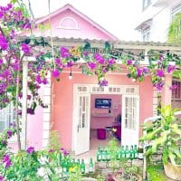 5TY CHO 119M2 NGANG 8M CÓ NGAY NHÀ CẤP 4 GẦN DINH 3 ĐƯỜNG NGUYỄN TRUNG TRỰC P3 ĐÀ LẠT