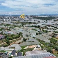 ĐẤT XÂY DỰNG VIEW ĐẸP MẶT ĐƯỜNG NHỰA BẰNG PHẲNG – P11, ĐÀ LẠT