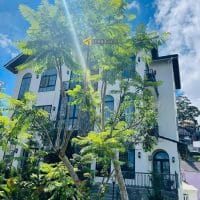 VILLA SÂN VƯỜN VIEW THOÁNG – ĐẸP ĐƯỜNG TÔ HIẾN THÀNH, P3, ĐÀ LẠT