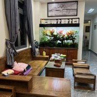 NHÀ CÓ VIEW NGAY TRUNG TÂM HỢP ĐỊNH CƯ VÀ NGHỈ DƯỠNG ĐƯỜNG THÔNG THIÊN HỌC PHƯỜNG 2 ĐÀ LẠT