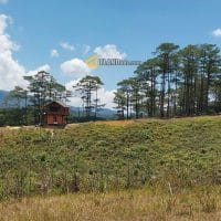 Bán 27.784m2 đất Lạc Dương chỉ 11.2 tỷ