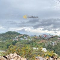 Đất view đồi thông Hoàng Hoa Thám 300.4m2 chỉ hơn 9.5 tỷ