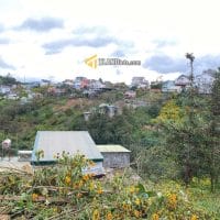 Đất view đồi thông Hoàng Hoa Thám 300.4m2 chỉ hơn 9.5 tỷ