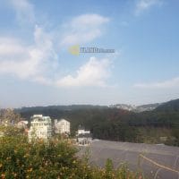 ĐẤT LỚN HƠN 2 SÀO CÓ VIEW QUY HOẠCH THỔ CƯ ĐƯỜNG HOÀNG HOA THÁM ĐÀ LẠT