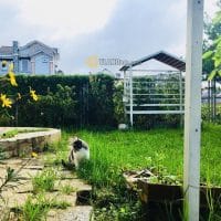 VILLA SÂN VƯỜN XINH XẮN ĐƯỜNG NHỰA Ô TÔ BẰNG PHẲNG – PHƯỜNG LÂM VIÊN, ĐÀ LẠT