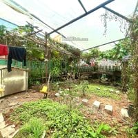 NHÀ CẤP 4 SÂN VƯỜN PHƯỜNG LÂM VIÊN, CÁCH HỒ XUÂN HƯƠNG 1KM