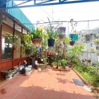 NHÀ CẤP 4 SÂN VƯỜN PHƯỜNG LÂM VIÊN, CÁCH HỒ XUÂN HƯƠNG 1KM