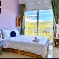 7 TỶ 5  HOMSTAY 182M2 VIEW THÔNG CỰC ĐẸP ĐƯỜNG Ô TÔ LỚN HOÀNG HOA THÁM ĐÀ LẠT